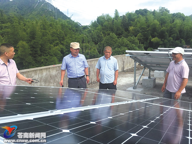 曬曬太陽(yáng)就掙錢！蒼南縣首個(gè)農(nóng)村光伏電站啟動(dòng)建設(shè)