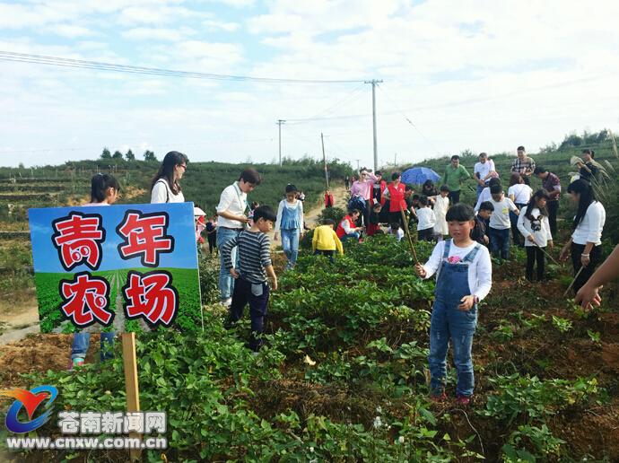 南山头青年农场重开园